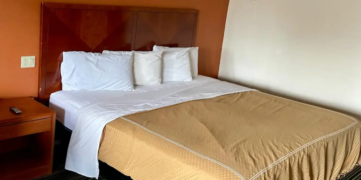 Standard King Room